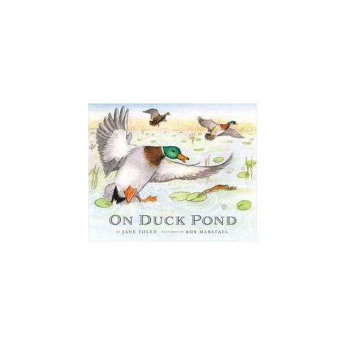 On Duck Pond