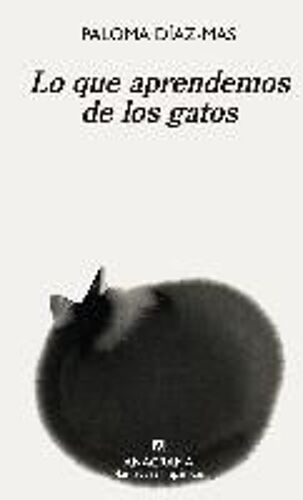 Lo Que Aprendemos De Los Gatos