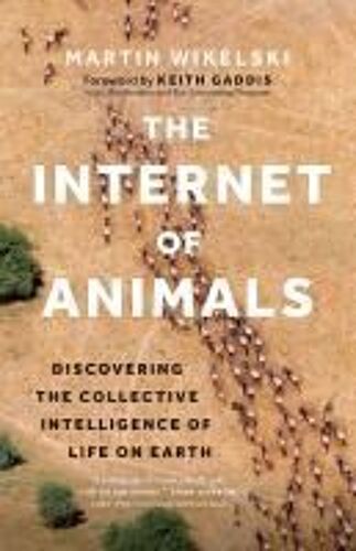 The Internet Of Animals