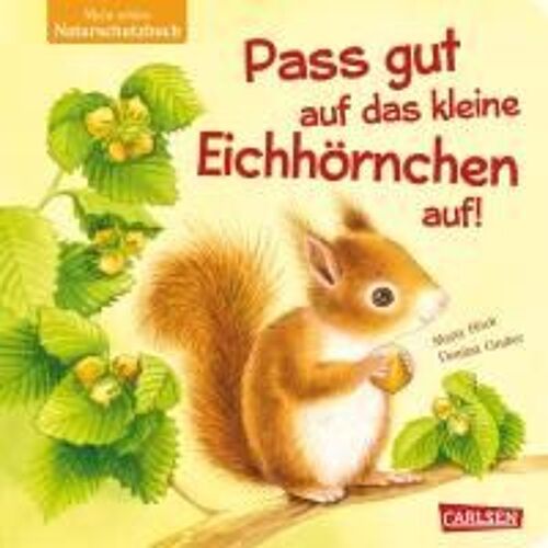 Pass Gut Auf Das Kleine Eichhörnchen Auf