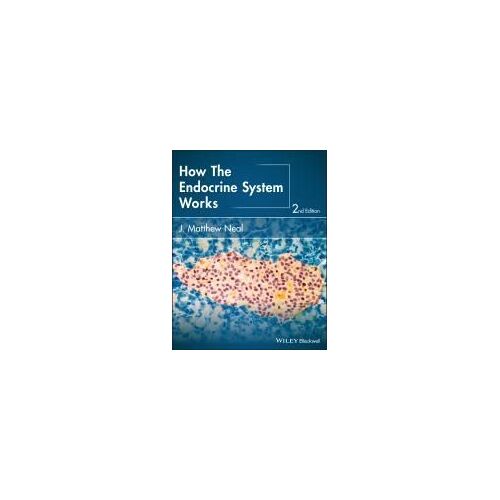 How The Endocrine System Works