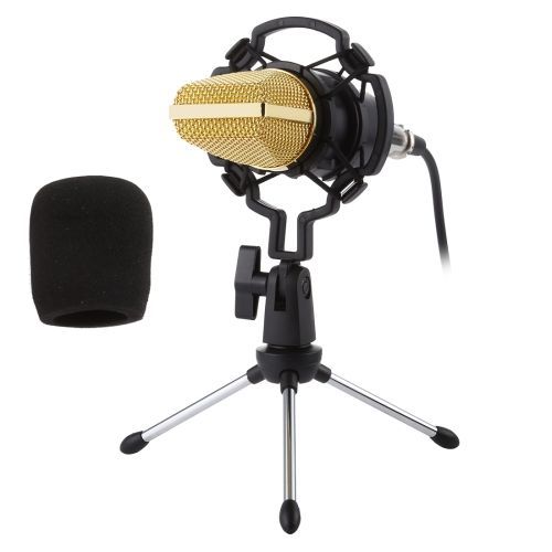 Microphone à condensateur professionnel USB BM-700
