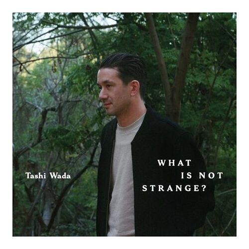 What Is Not Strange - Vinyle 33 Tours
