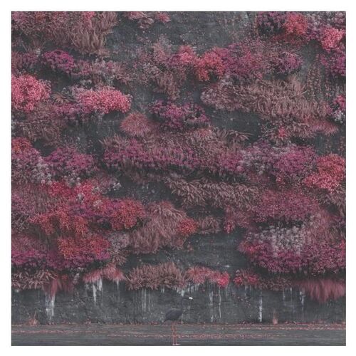 Even In Arcadia - Vinyle