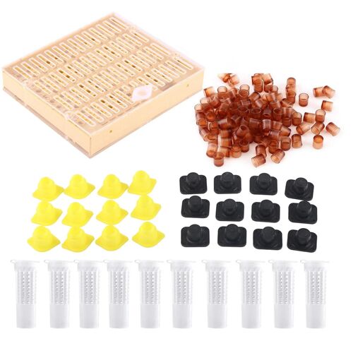 Apiculture Reine Élevage Tasses Boîte Cellule Bar Blocs Caps Cheveux Roller Cages Apiculteur Équipement