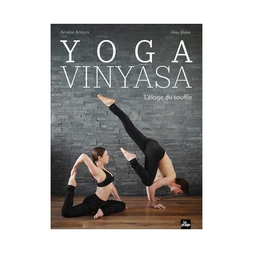 Yoga Vinyasa