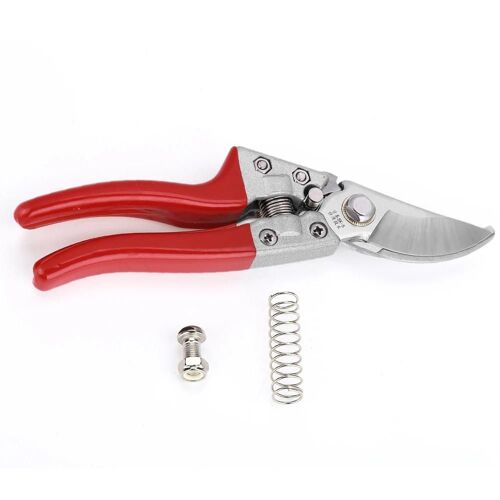 1pc 8inch Arbre Fruitier Bonsaï Jardinage Sécateurs Sécateurs Ciseaux Greffe Outils De Coupe