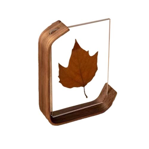 Support de cadre photo acrylique double face Support de stockage de spécimens de feuilles élégant pour chambre à coucher à la maison noir,6 pouces