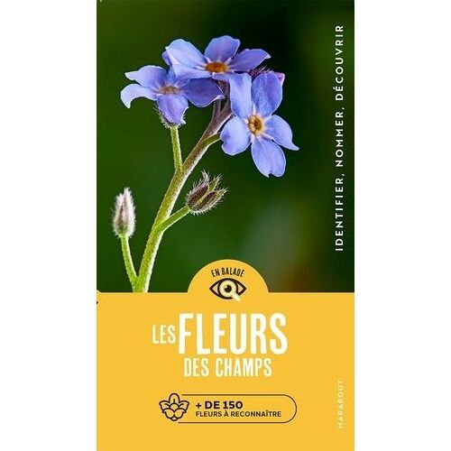 Les Fleurs Des Champs - Plus De 150 Fleurs À Reconnaître