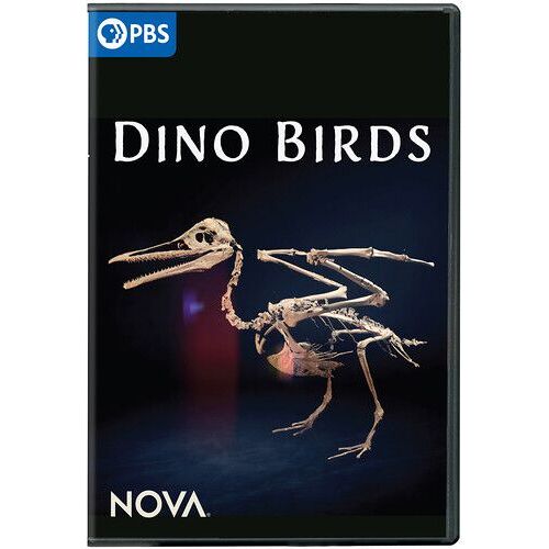 Nova: Dino Birds [Digital Video Disc]