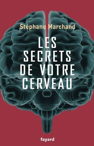 Les Secrets De Votre Cerveau