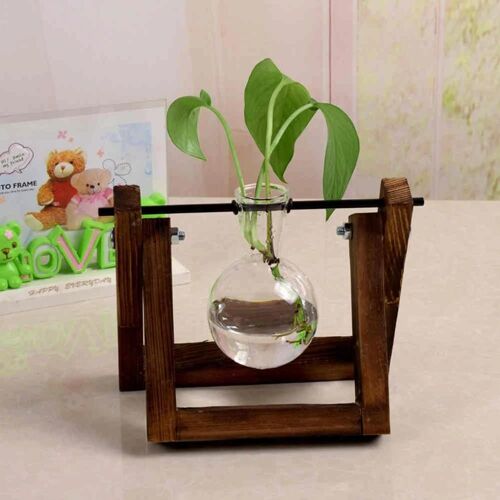 1pc pot de fleur en verre vase de terrarium végétal transparent avec support en bois pour la décoration de la maison bouteille unique
