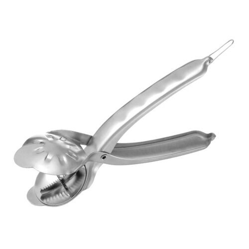 Ouvre-coquille de châtaigne en acier inoxydable avec coupe-noix croisé Outil de décorticage de noix robuste pour fruits secs