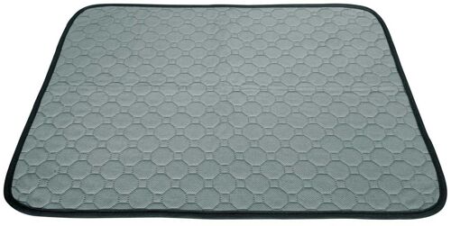 Tapis De Propreté Absorbant Et Lavable L - 60 X 90 Cm