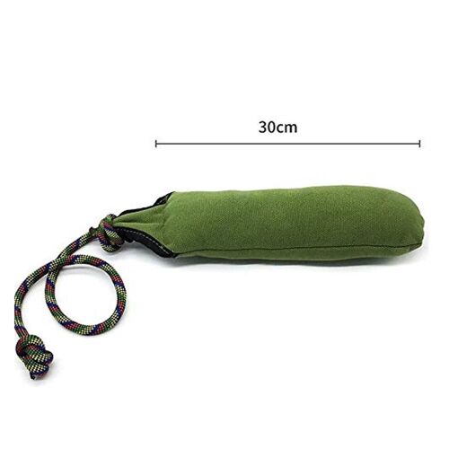 Oxford Tissu Pet Formation Suivi Morsure Jouet Chien Interactifs Bâton Animaux Fournitures