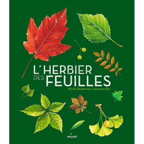 L'herbier Des Feuilles