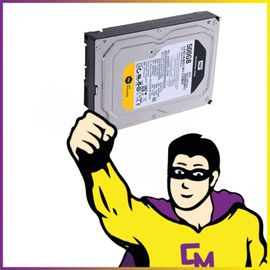 Disque Dur 500Go SATA 3.5" Western Digital WD5003ABYZ WD5003ABYX 7200RPM 64Mo