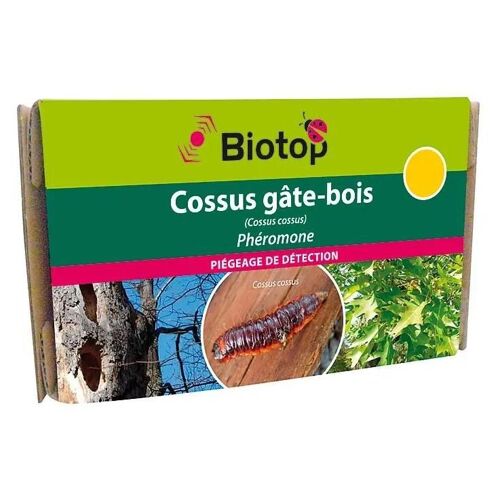 Phéromones Contre Cossus Gâte-Bois Biotop (2 Capsules)