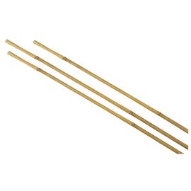 Tuteur Pour Plante En Bambou H.150 Cm (Lot De 3)