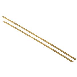 Tuteur Pour Plante En Bambou H.180 Cm (Lot De 2)
