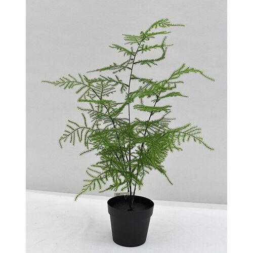 Pot Aspargus artificiel h.45 cm avec pot décoratif