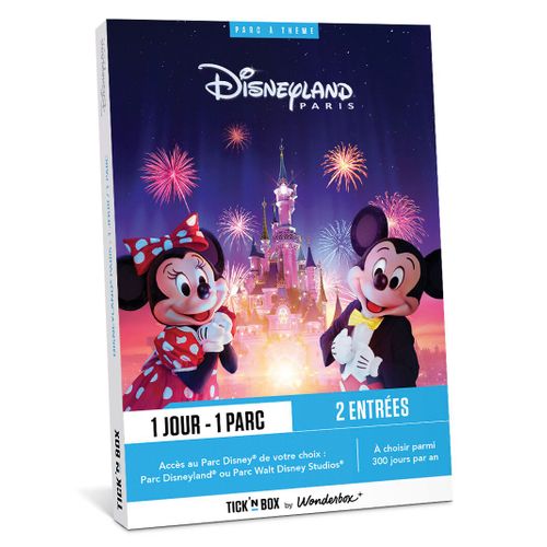 Disneyland Paris 1 Jour / 1 Parc