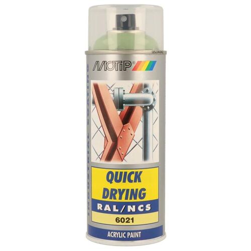 Peinture Vert Brillant Ral6021 400ml