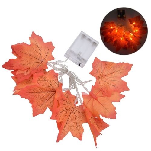 Lumière D'automne Led, 10 Led, Lumière Chaude Exquise, Boîtier De Batterie Goodnice