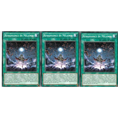 3x Renaissance Du Melange - Docs-Fr053