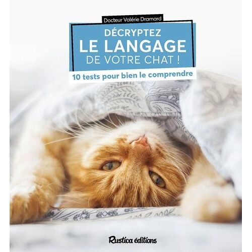Décryptez Le Langage De Votre Chat ! - 10 Tests Pour Bien Le Comprendre