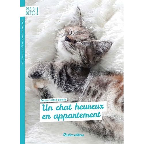 Un Chat Heureux En Appartement