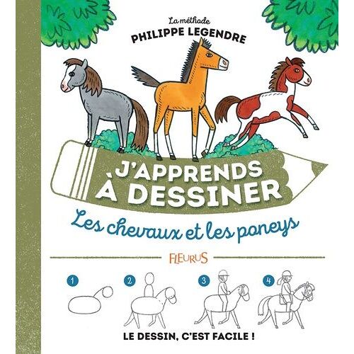 Les Chevaux Et Les Poneys