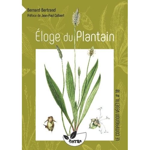 Eloge Du Plantain