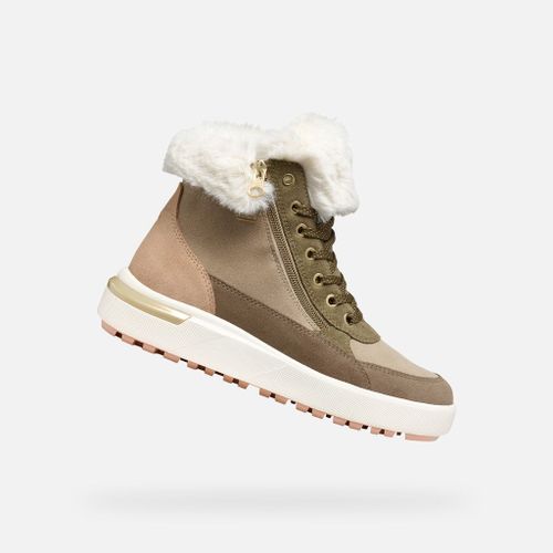 Chaussures Bottines Geox Dalyla