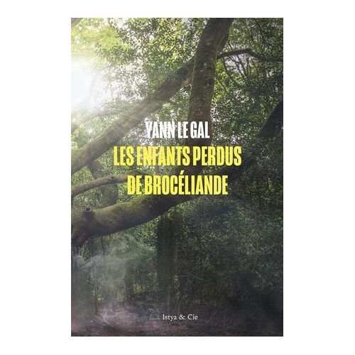 Les Enfants Perdus De Brocéliande