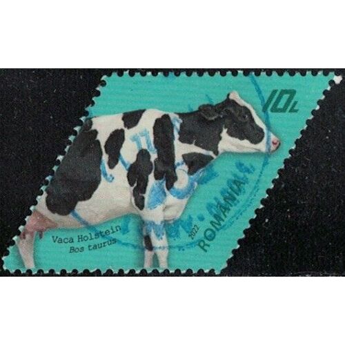 Roumanie 2022 Oblitéré Used Vache Holstein Race Bovine Y&t Ro 6697 Su