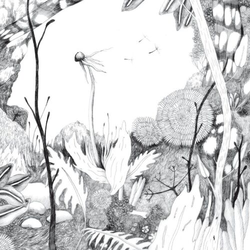 Back And Worth - Time Whisper