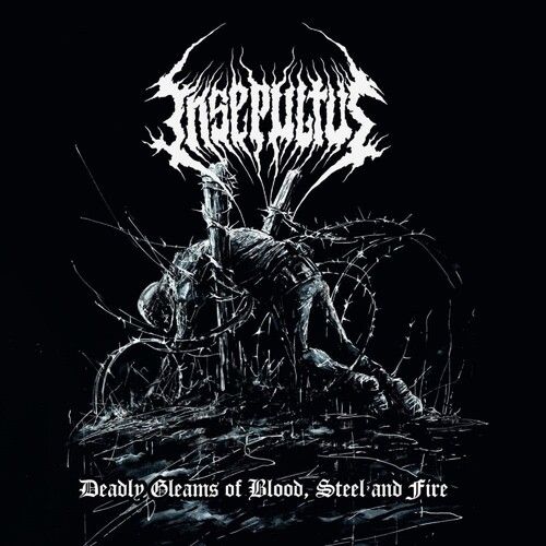 Insepultus - Deadly Gleams Of Blood, Steel And Fire [Compact Discs]