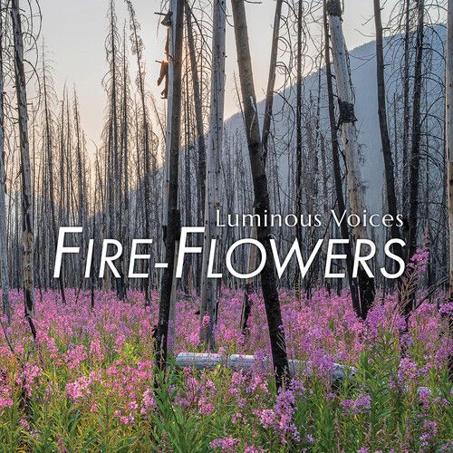 Brahms / Wadsworth / Luminous Voices - Fire-Flowers [Compact Discs]