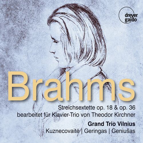 Brahms / Kirchner / Grand Trio Vilnius - String Sextets Opp. 18 & 36 Arr. For Piano By [Compact Discs]