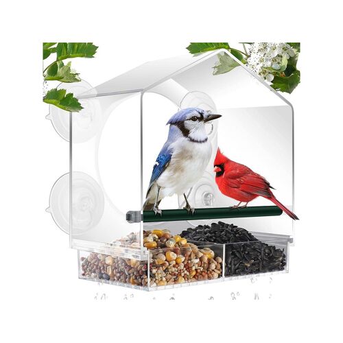 Mangeoire À Oiseaux De Fenêtre Avec Ventouses Pour Les Oiseaux De Jardin