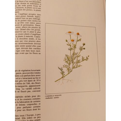 Plantes Aromatiques. Livre Collection Encyclopédie Time-Life Jardinage