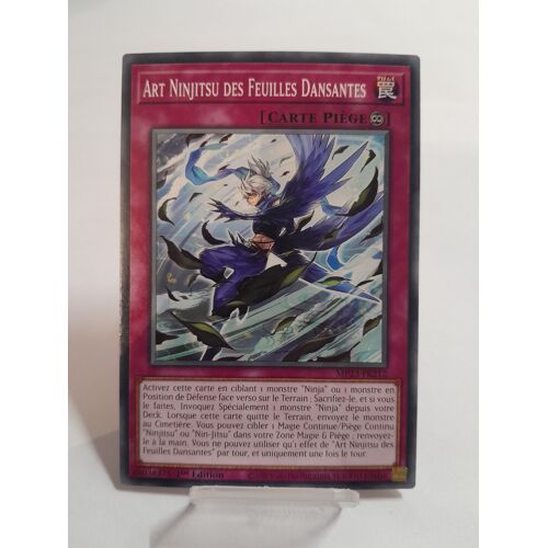 Art Ninjitsu Des Feuilles Dansantes (Mp23-Fr212)
