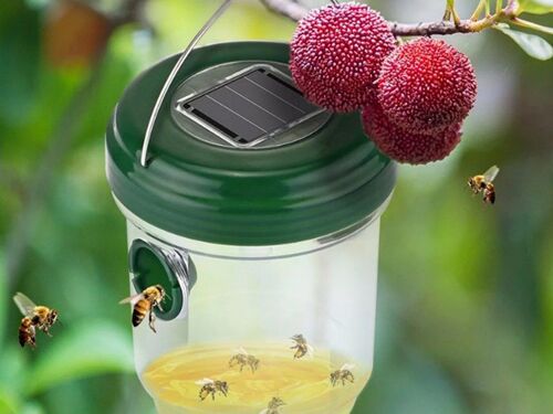 Piège à guêpes solaire (lot de 2) avec double entrée et lumière UV