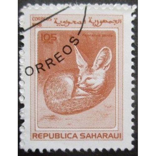 Saharaui Fennec Oblitéré