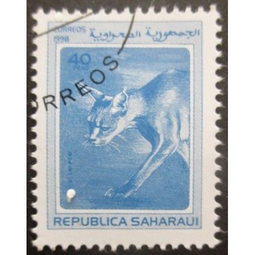 Saharaui Félin Oblitéré