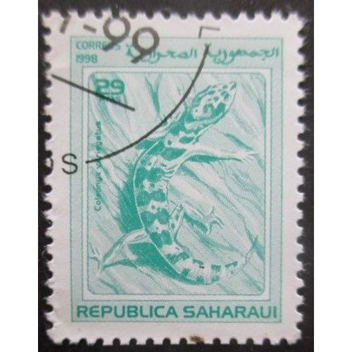 Saharaui Lézard Oblitéré