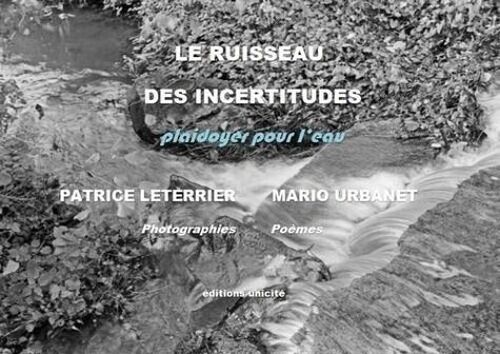 Le Ruisseau Des Incertitudes - Plaidoyer Pour L'eau