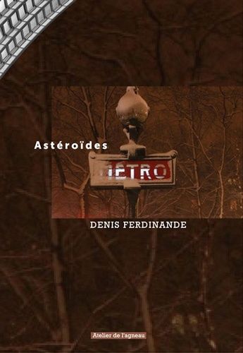 Astéroïdes - Un Carnet De Notes