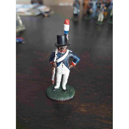 Figurine En Plomb DelPrado – Officier Dragons D’Inniskilling Grande-Bretagne 1811 – échelle 1:32 (60mm) – Collection Premier Empire
